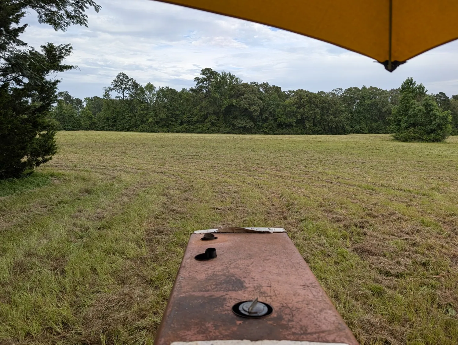 Maintained open acreage